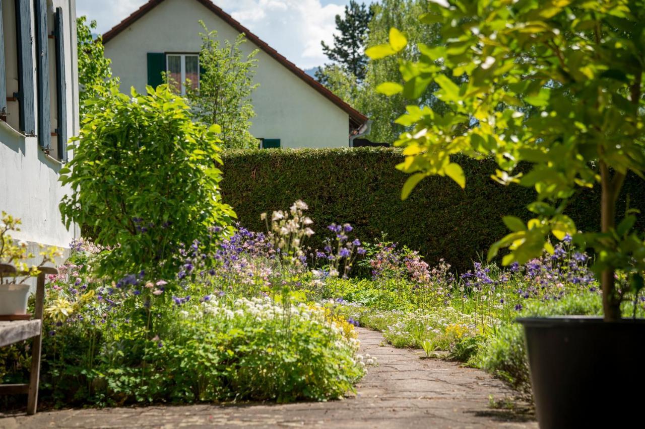 Landhauswohnung Mit Wildromantischem Garten Apartment